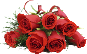 roza