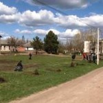 alleya_15-04-15