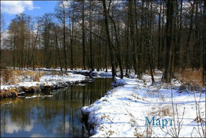 mart